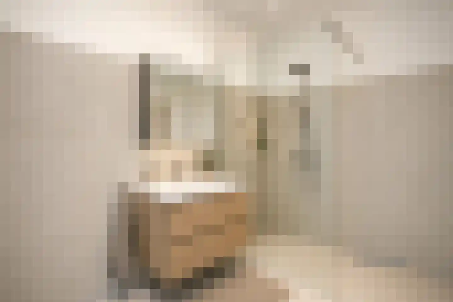 Malvert 6991 Nijmegen thumbnail 22