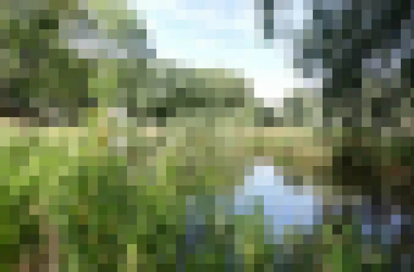 Malvert 6991 Nijmegen thumbnail 27