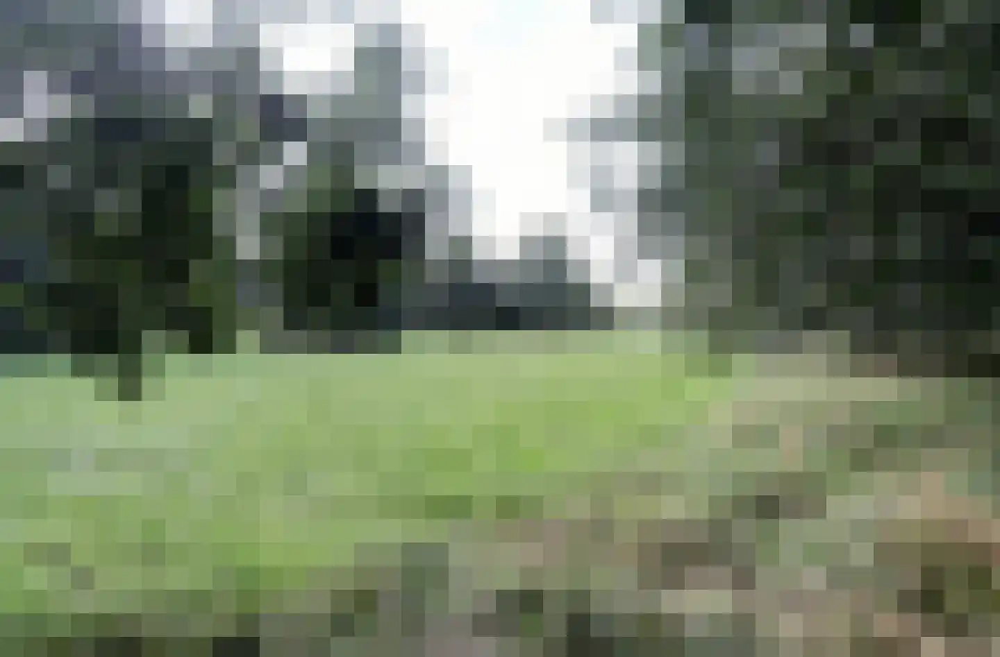 Malvert 6991 Nijmegen thumbnail 32