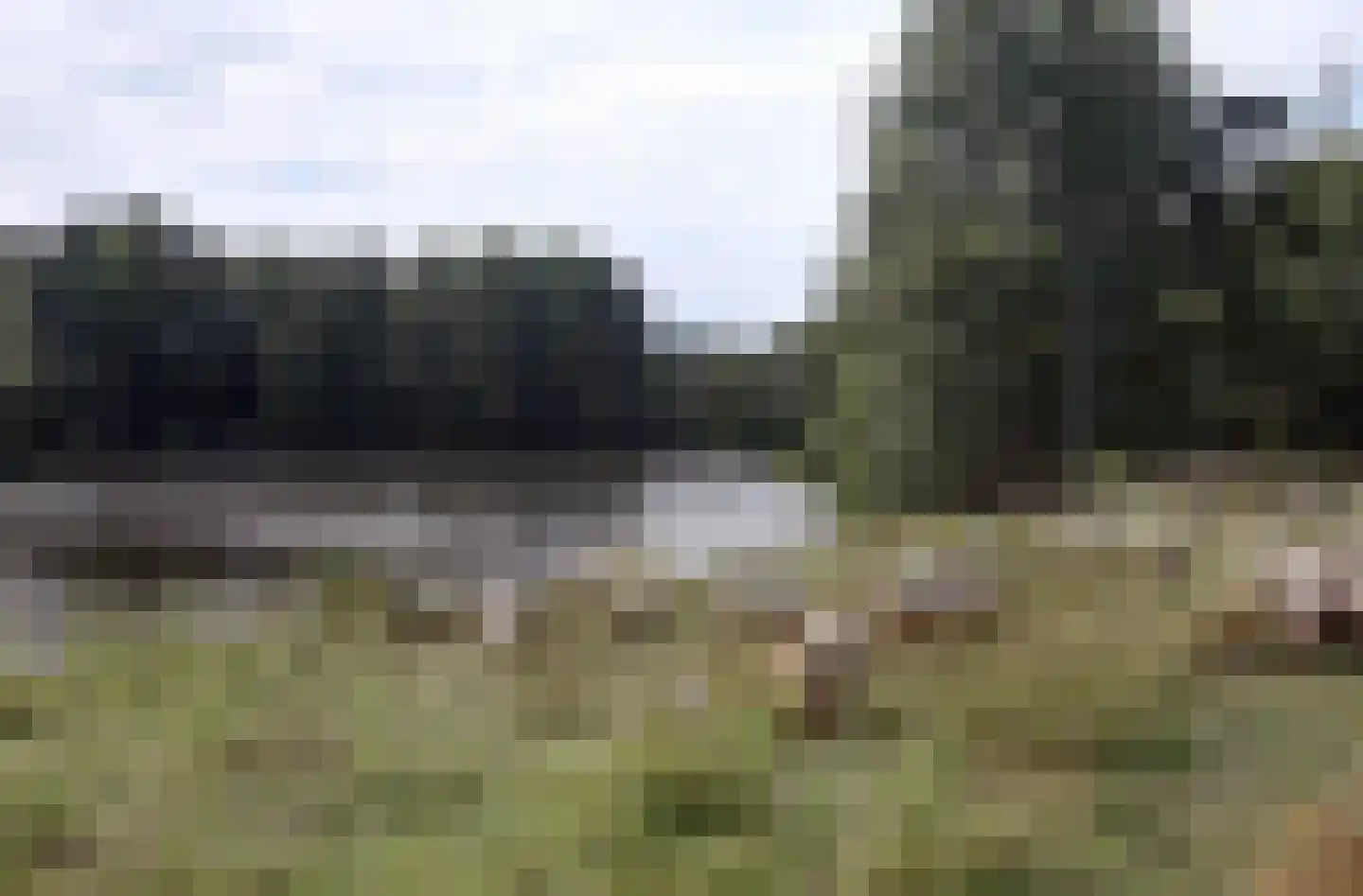 Malvert 6991 Nijmegen thumbnail 34