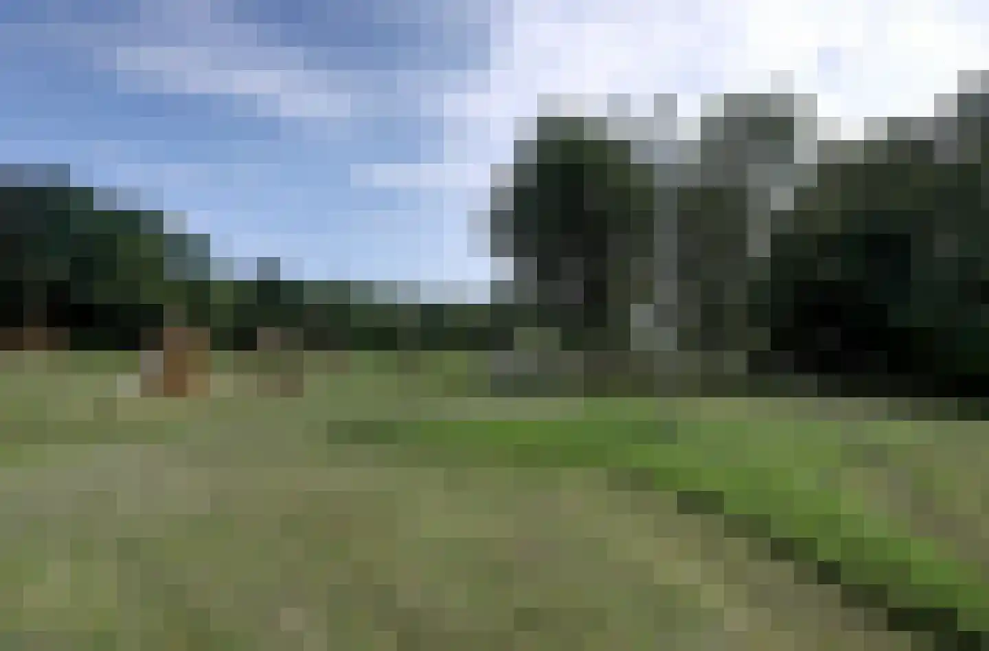 Malvert 6991 Nijmegen thumbnail 35
