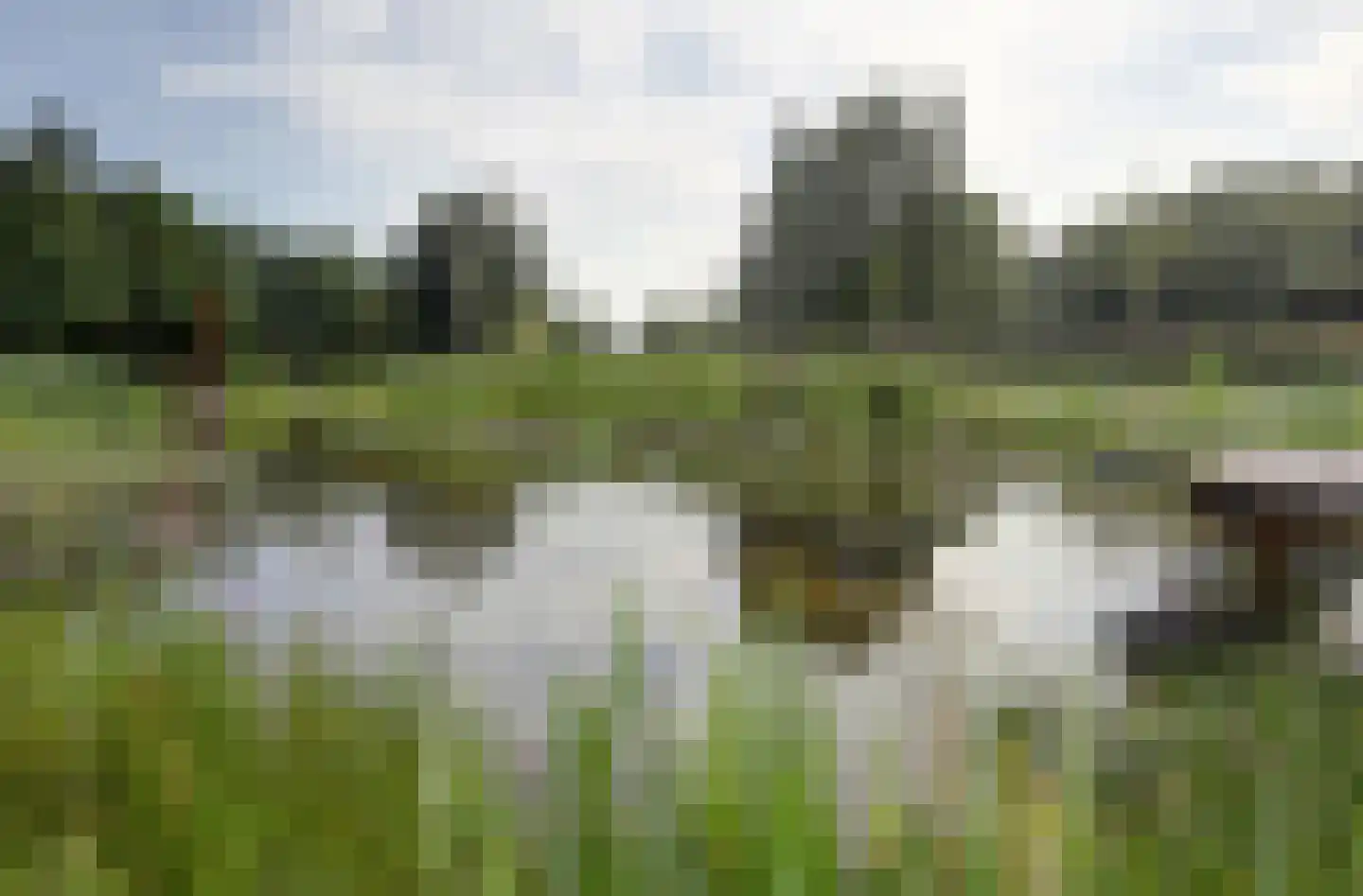 Malvert 6991 Nijmegen thumbnail 36