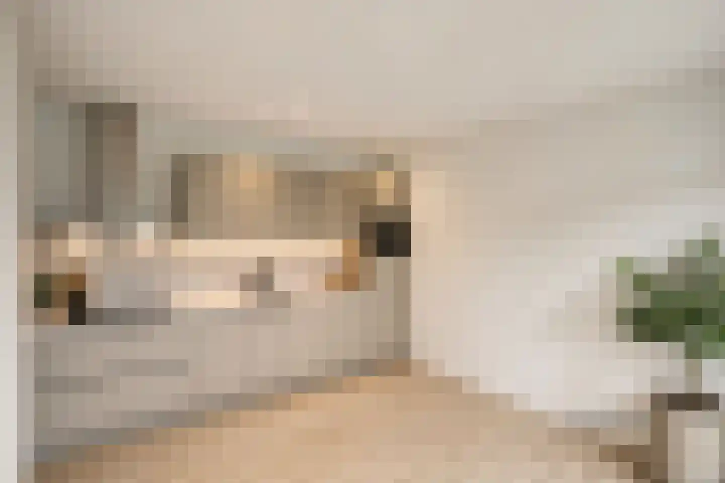 Malvert 6991 Nijmegen thumbnail 6