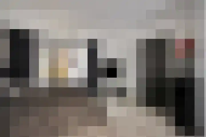Malvert 7310 Nijmegen thumbnail 13