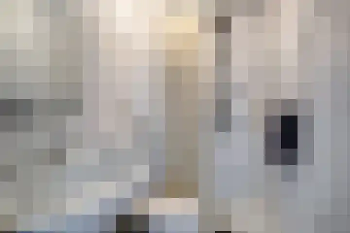 Malvert 7310 Nijmegen thumbnail 17