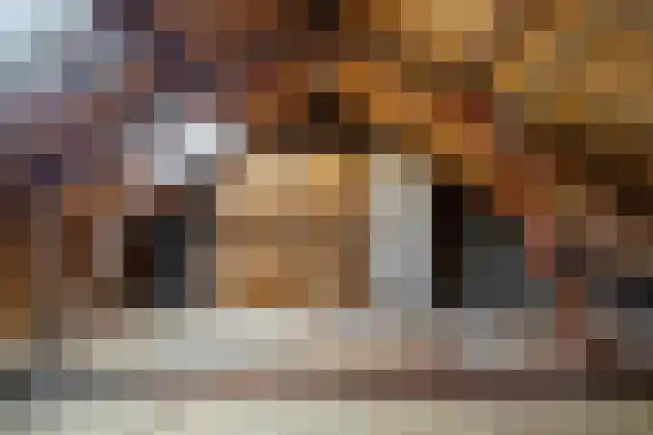 Malvert 7310 Nijmegen thumbnail 30