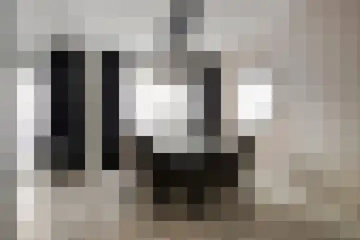 Malvert 7310 Nijmegen thumbnail 4