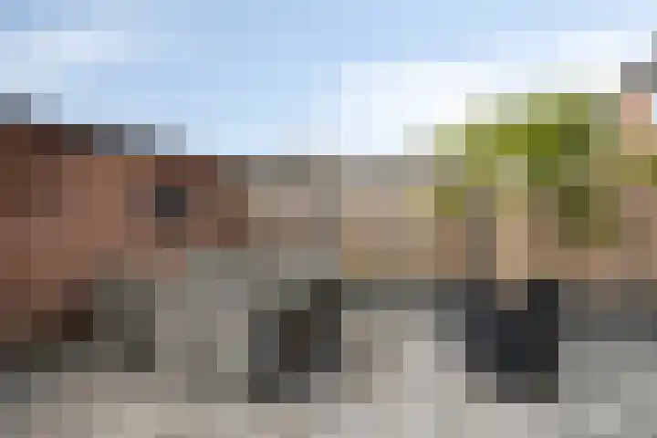 Malvert 7310 Nijmegen thumbnail 7
