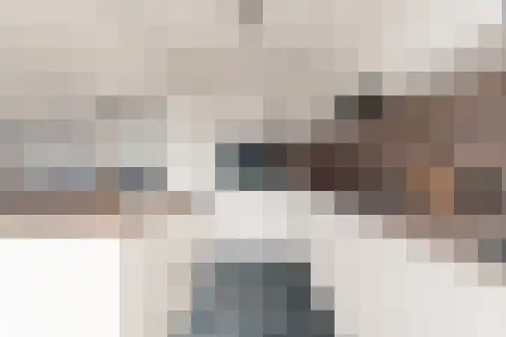 Malvert 7312 Nijmegen thumbnail 13