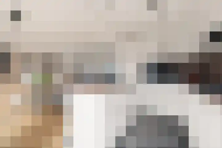 Malvert 7312 Nijmegen thumbnail 14