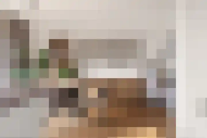 Malvert 7312 Nijmegen thumbnail 15