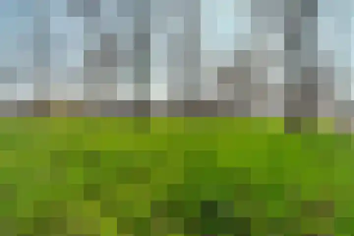 Malvert 7312 Nijmegen thumbnail 34