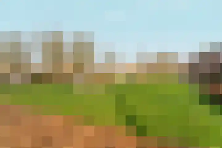 Malvert 7312 Nijmegen thumbnail 35