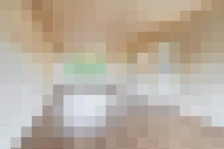 Malvert 7376 Nijmegen thumbnail 10
