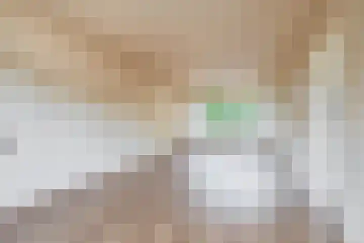 Malvert 7376 Nijmegen thumbnail 11