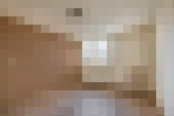 Malvert 7376 Nijmegen thumbnail 15