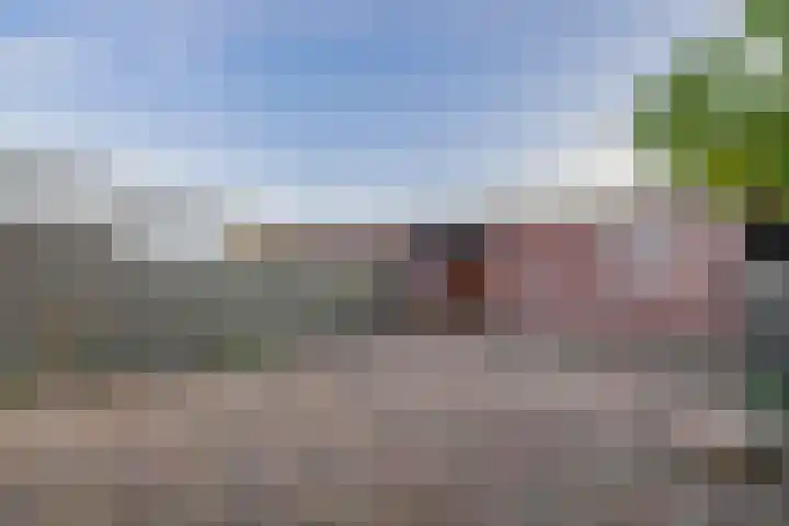 Malvert 7376 Nijmegen thumbnail 23