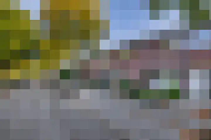 Malvert 7376 Nijmegen thumbnail 30