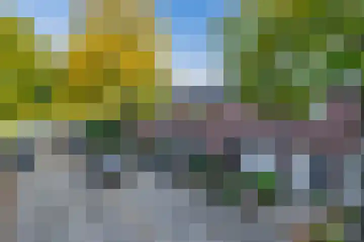 Malvert 7376 Nijmegen thumbnail 31