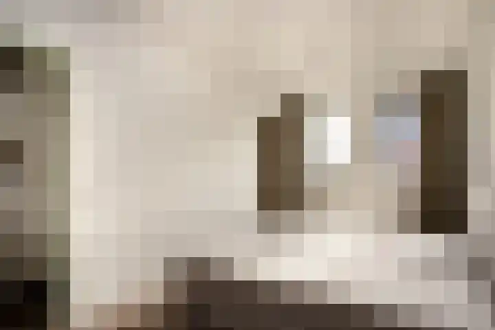 Malvert 7392 Nijmegen thumbnail 12
