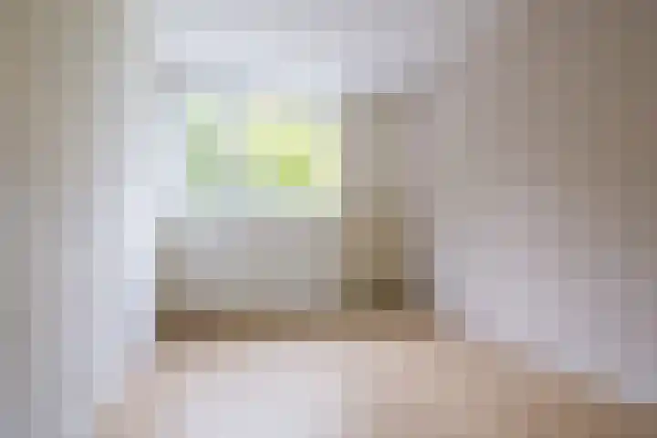Malvert 7392 Nijmegen thumbnail 25