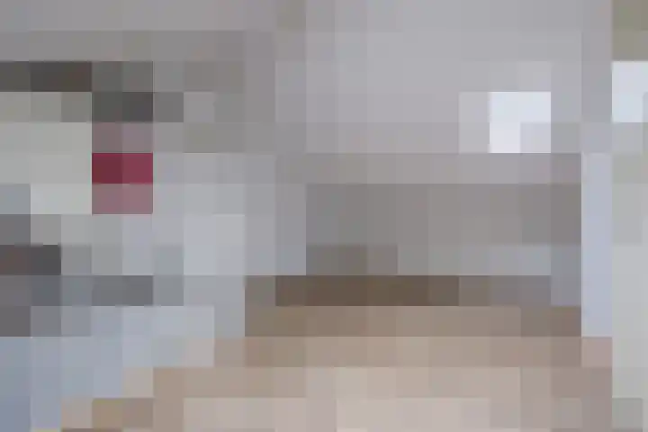 Malvert 7392 Nijmegen thumbnail 31