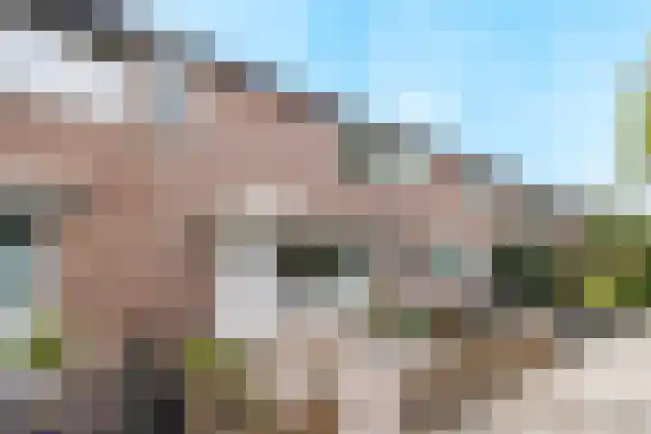 Malvert 7392 Nijmegen thumbnail 35