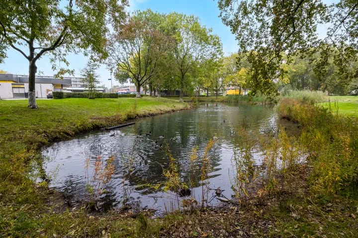 Malvert 7392 Nijmegen thumbnail 36