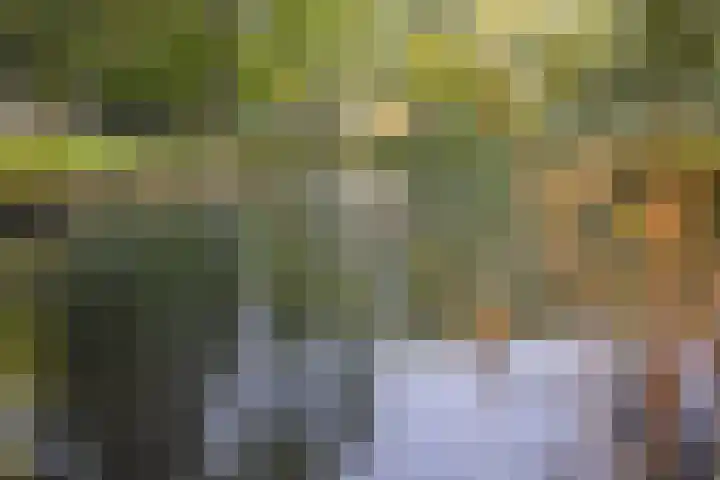 Malvert 7392 Nijmegen thumbnail 37