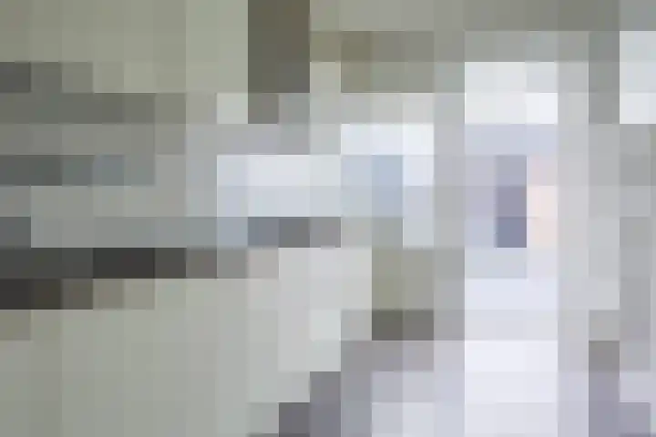 Malvert 7392 Nijmegen thumbnail 9