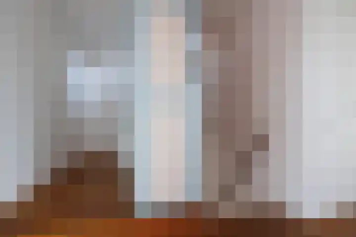Malvert 7428 Nijmegen thumbnail 17