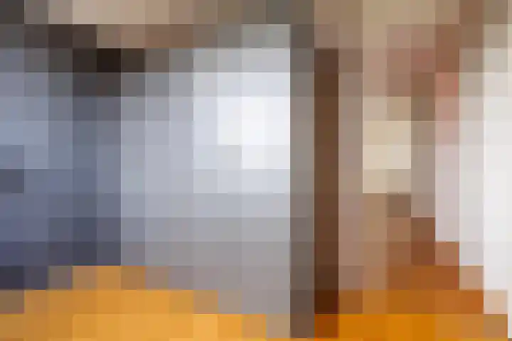 Malvert 7428 Nijmegen thumbnail 25