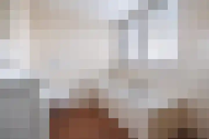 Malvert 7428 Nijmegen thumbnail 26