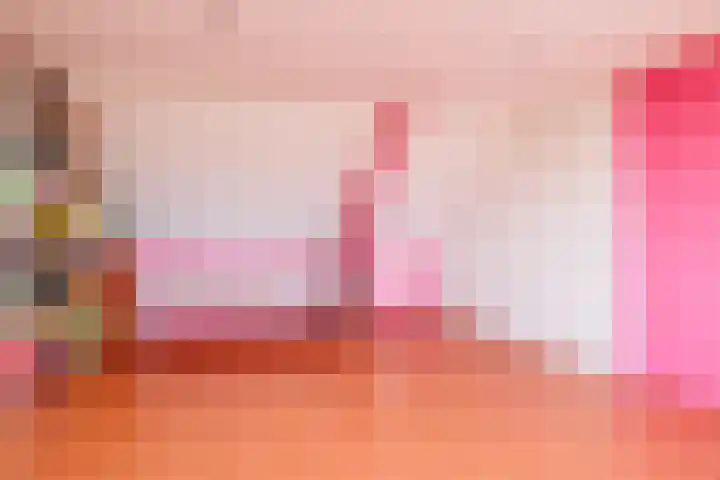 Malvert 7428 Nijmegen thumbnail 32