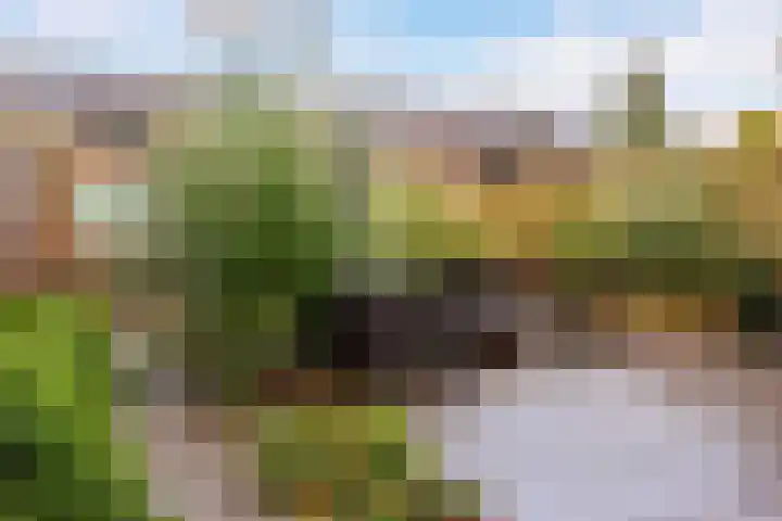Malvert 7428 Nijmegen thumbnail 33