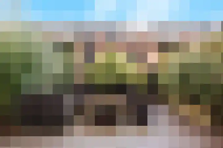 Malvert 7428 Nijmegen thumbnail 34