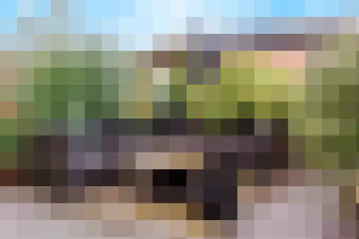 Malvert 7428 Nijmegen thumbnail 35