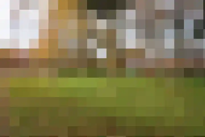 Malvert 7428 Nijmegen thumbnail 47