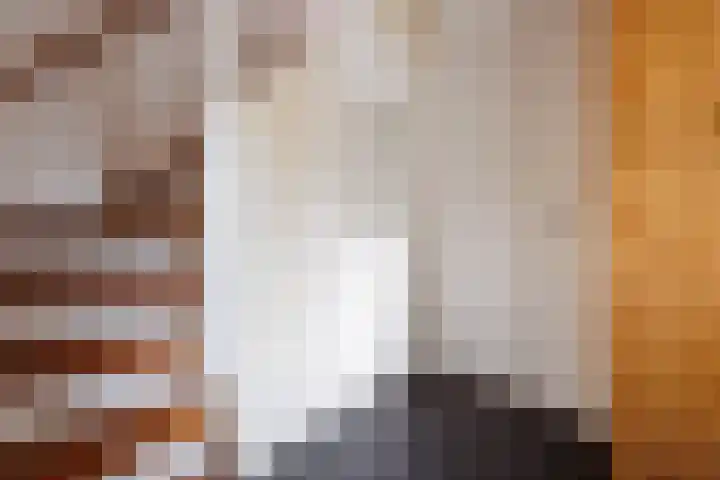 Malvert 7428 Nijmegen thumbnail 7