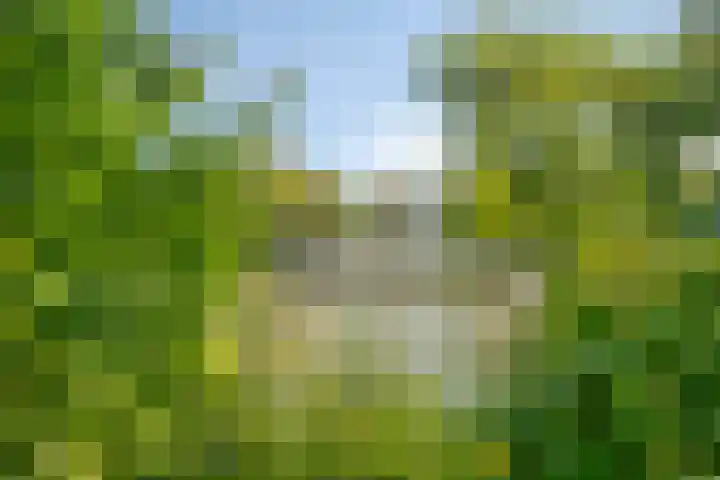 Malvert 7516 Nijmegen thumbnail 27