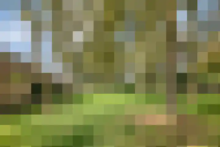 Malvert 7516 Nijmegen thumbnail 28