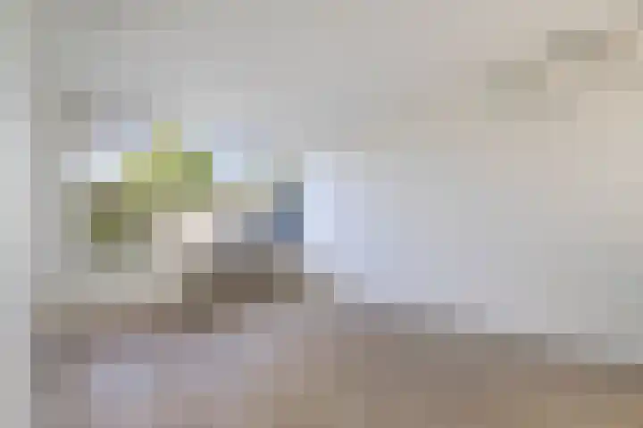 Malvert 7516 Nijmegen thumbnail 4
