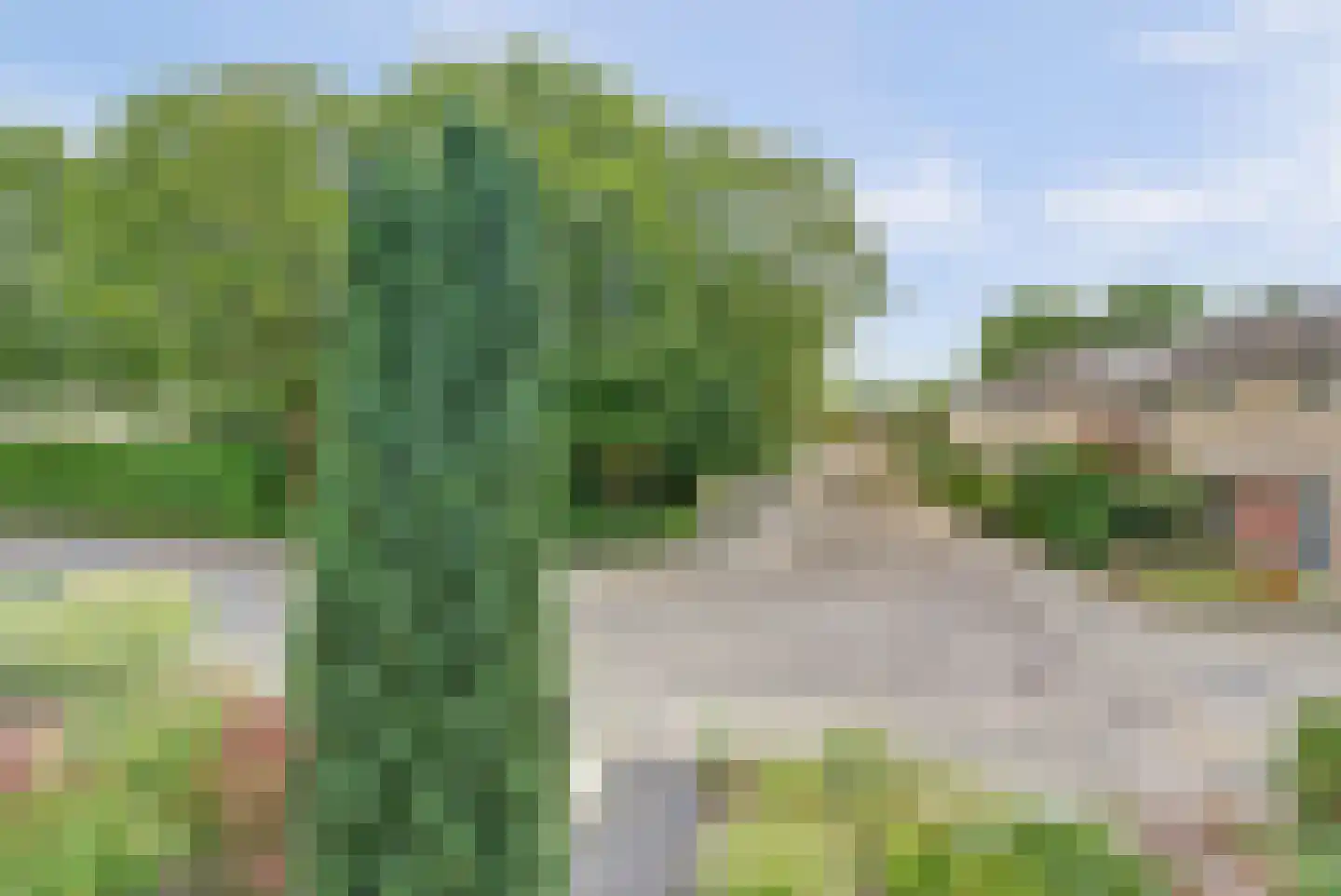 Malvert 8047 Nijmegen thumbnail 27