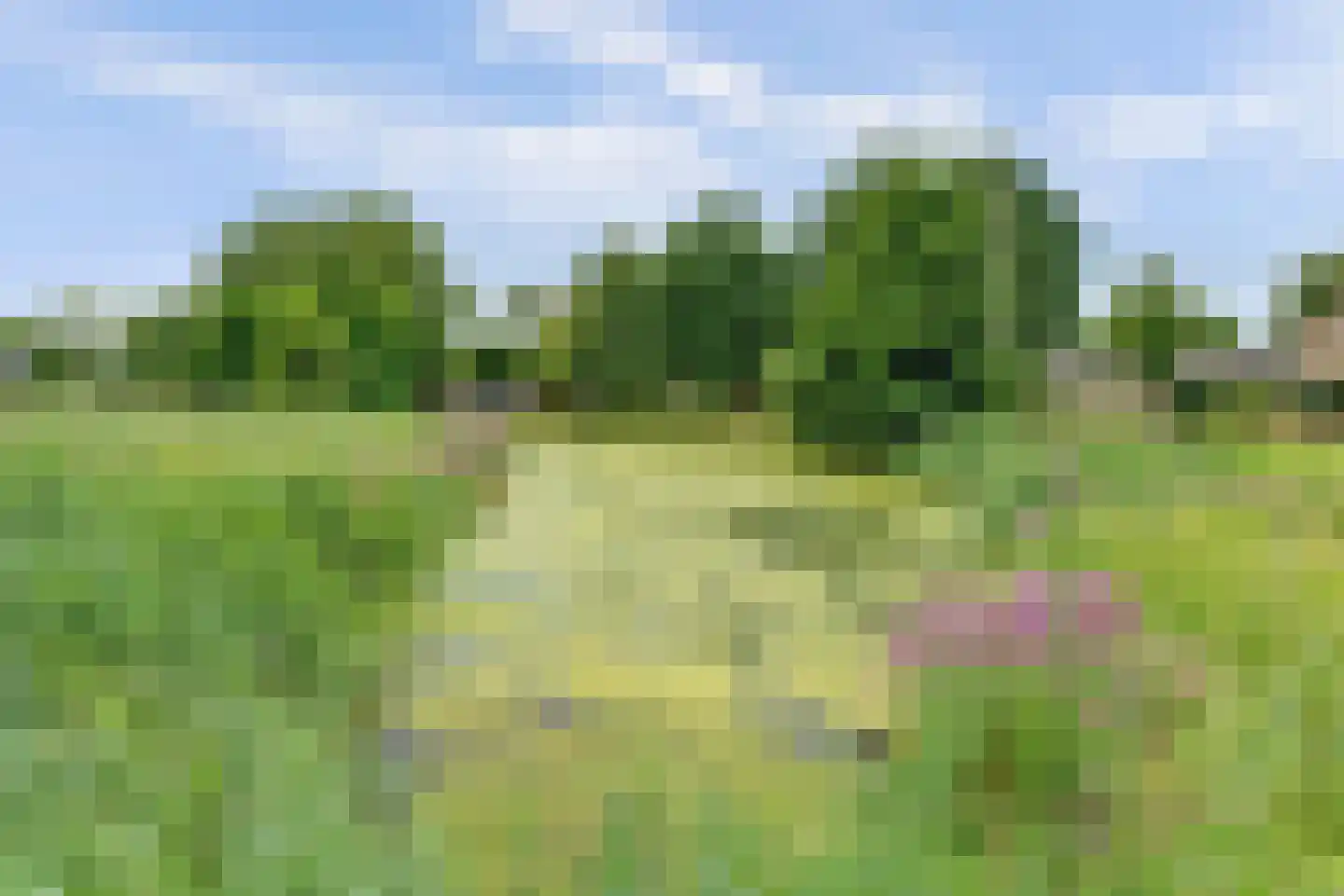 Malvert 8047 Nijmegen thumbnail 34
