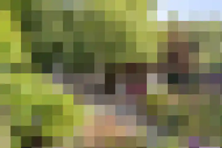 Malzwin 1315 Julianadorp thumbnail 18
