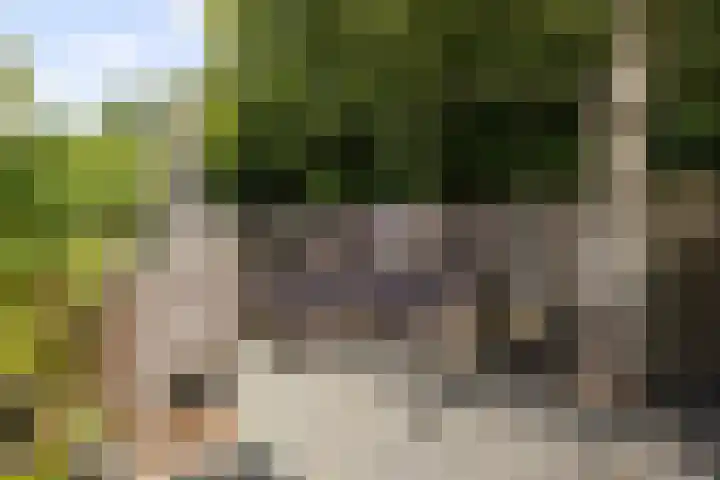 Malzwin 1315 Julianadorp thumbnail 19