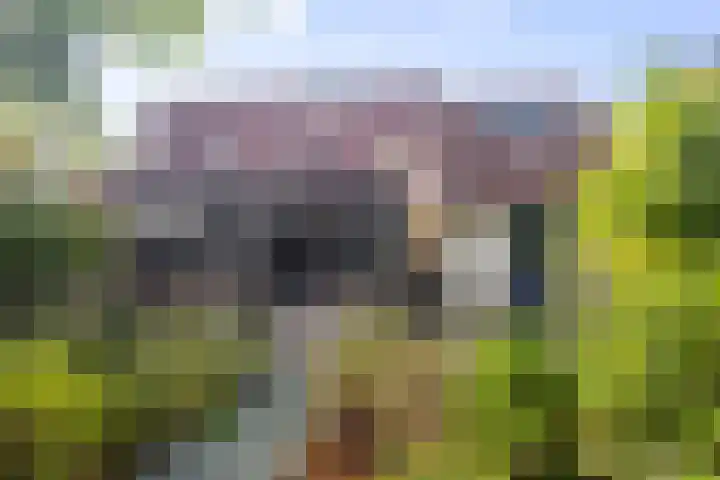 Malzwin 1315 Julianadorp thumbnail 20