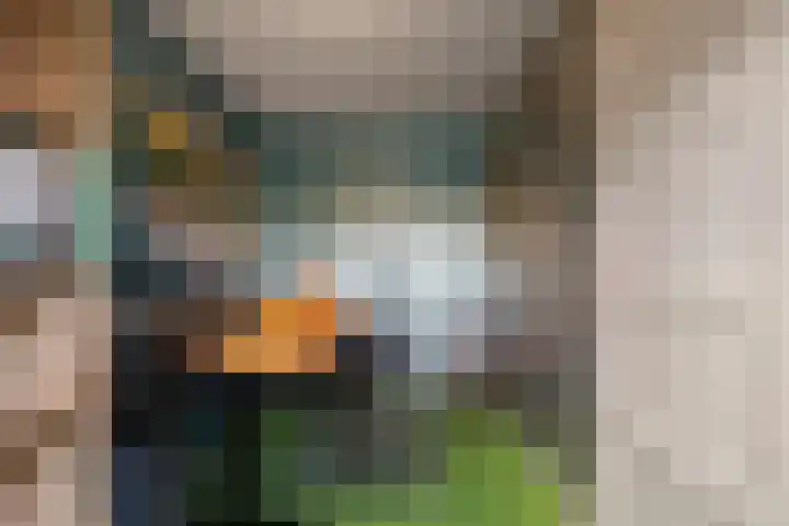 Malzwin 1315 Julianadorp thumbnail 24