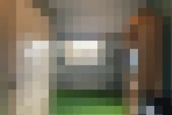 Malzwin 1315 Julianadorp thumbnail 25