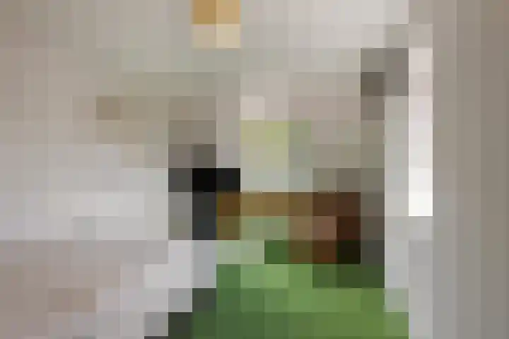Malzwin 1315 Julianadorp thumbnail 26